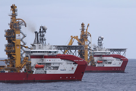 Sapura-Topazio-Diamante480x320