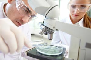 Serious clinician studying a sample under a microscope in laboratory with his assistant near by