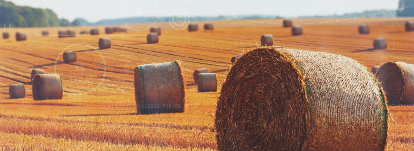 cs-hay-farming-automation_1366x500