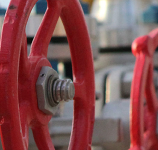 texmark-Photo-7-525x500