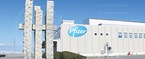 pfizer_campus_295x120