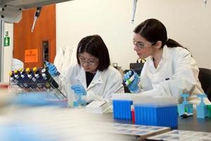 researchers in a science lab